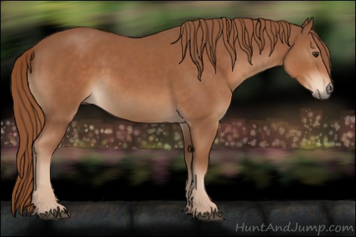 Horse Color:Chestnut  and Chestnut Rabicano 