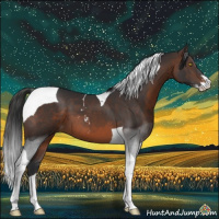 Horse Color:Brown Sabino Tobiano