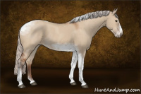 Horse Color:Silver Bay Dun Sabino Tobiano Frame Rabicano
