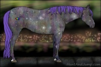 Horse Color:Watercolor Midnight Brown Ice Appaloosa 