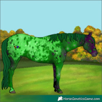 Horse Color:ERROR: UNKNOWN ANOMALY