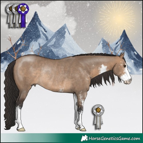 Horse Color:Brown Dun Sabino Rabicano 
