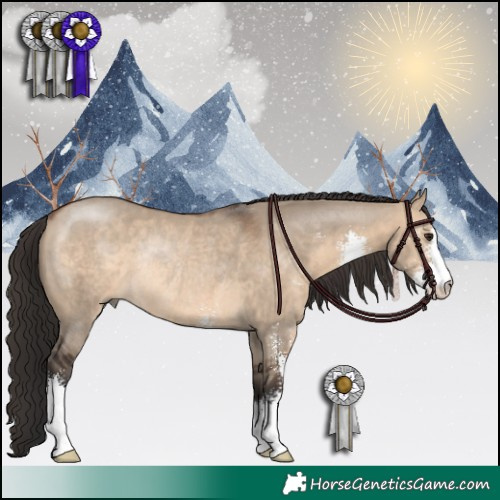 Horse Color:Brown Dun Sabino Rabicano 