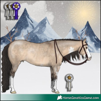 Horse Color:Brown Dun Sabino Rabicano 