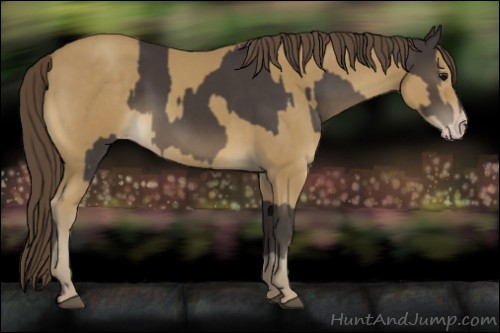 Horse Color:Smoky Black  and Classic Cream Champagne 