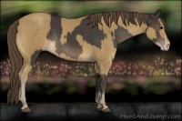 Horse Color:Smoky Black  and Classic Cream Champagne 