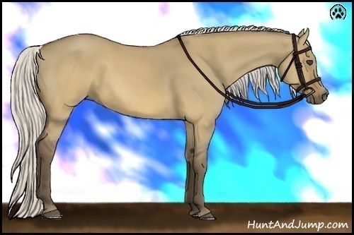 Horse Color:Silver Buckskin Dun 