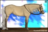 Horse Color:Silver Buckskin Dun
