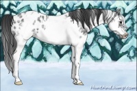 Horse Color:White Spotted Blue Roan Splash Frame Appaloosa 