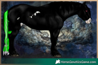 Horse Color:Plaid  Liver Chestnut Chinchilla Mushroom Sabino Blanket 