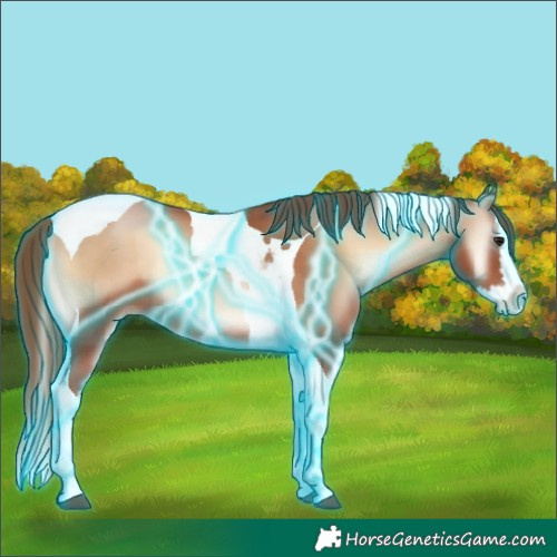 Horse Color:Thunderstruck Bay Pearl Onyx Splash Tobiano 