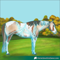 Horse Color:Thunderstruck Bay Pearl Onyx Splash Tobiano 