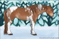 Horse Color:Chestnut Tobiano  and Chestnut Tobiano 