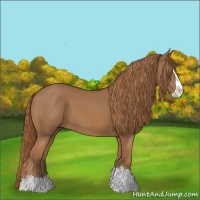 Horse Color:Chestnut Splash 