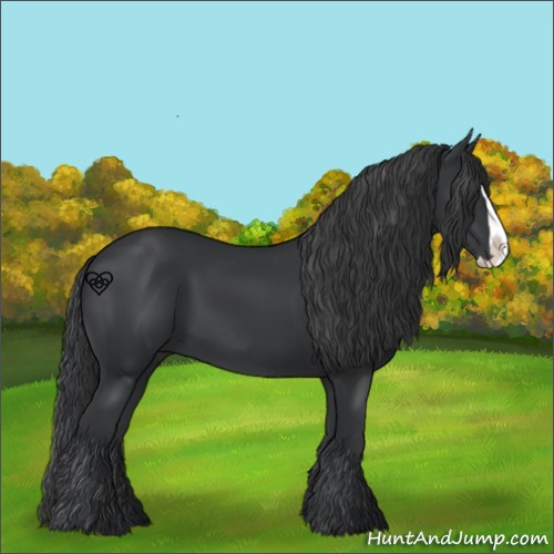 Horse Color:Black Splash