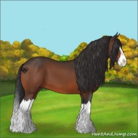 Horse Color:Brown Splash
