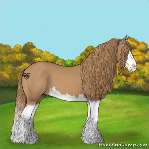 Horse Color:Chestnut Splash
