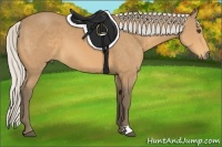 Horse Color:Silver Buckskin 