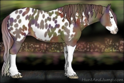 Horse Color:Nacre Liver Chestnut Sabino Splash Appaloosa 