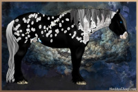 Horse Color:Brown Ice Roan Sabino Splash Appaloosa 