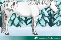 Horse Color:Black Tobiano Varnish 