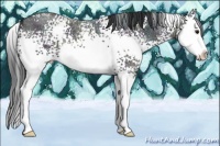 Horse Color:White Spotted Midnight Brown Ice Roan Splash 