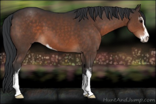 Horse Color:Brown Sabino 
