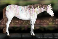 Horse Color:White Spotted Liver Chestnut Ice Sabino 