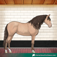 Horse Color:Amber Champagne