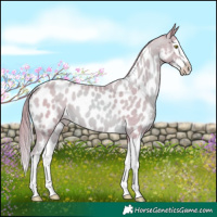Horse Color:Watercolor Gold Champagne Splash Near Leopard
