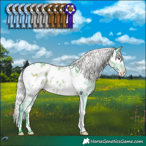 Horse Color:Watercolor Silver Brown Chinchilla Splash Tobiano Blanket Rabicano 