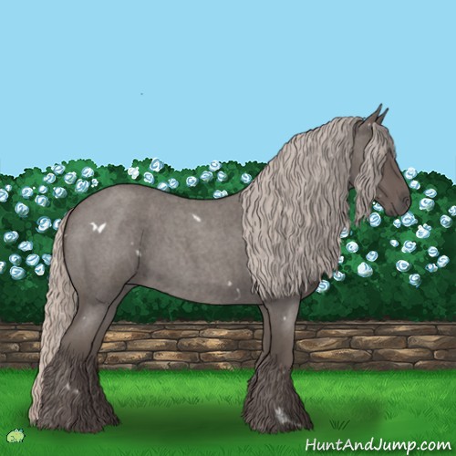 Horse Color:White Spotted Silver Blue Roan