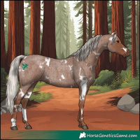 Horse Color:White Spotted Silver Blue Roan 