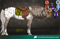 Horse Color:White Spotted Silver Grullo Tobiano Blanket Brindle 