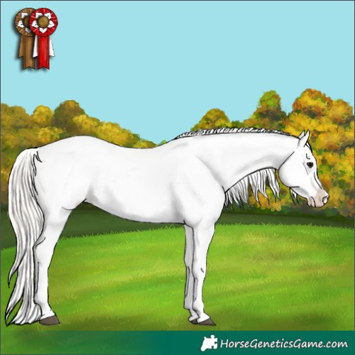 Horse Color:White Spotted Silver Grullo Tobiano Varnish Brindle 