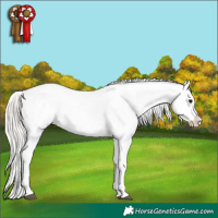 Horse Color:White Spotted Silver Grullo Tobiano Varnish Brindle 
