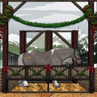 Horse Color:Silver Black Tobiano 