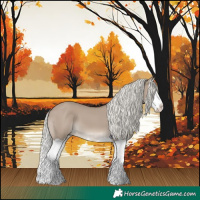 Horse Color:Liver Red Dun Mushroom Splash 