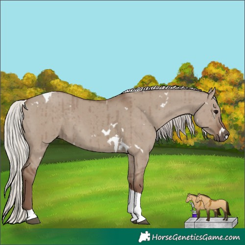 Horse Color:White Spotted Silver Grullo Tobiano Brindle