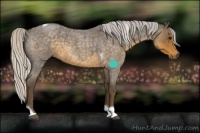 Horse Color:Silver Smoky Blue Roan Tobiano 