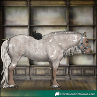 Horse Color:White Spotted Silver Blue Roan 