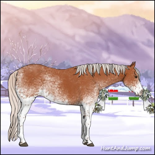 Horse Color:White Spotted Silver Bay Sabino Rabicano 