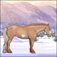 Horse Color:Silver Sable Champagne Frame 