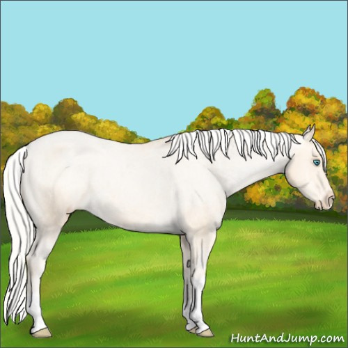 Horse Color:Silver Buckskin Pearl Varnish 