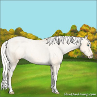 Horse Color:Silver Buckskin Pearl Varnish 