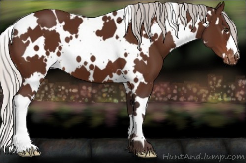 Horse Color:White Spotted Silver Brown Varnish