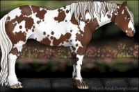 Horse Color:White Spotted Silver Brown Varnish 