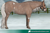 Horse Color:White Spotted Silver Blue Roan 