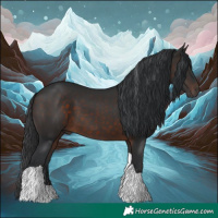 Horse Color:Brown Tobiano 
