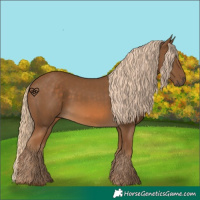 Horse Color:Chocolate Palomino 